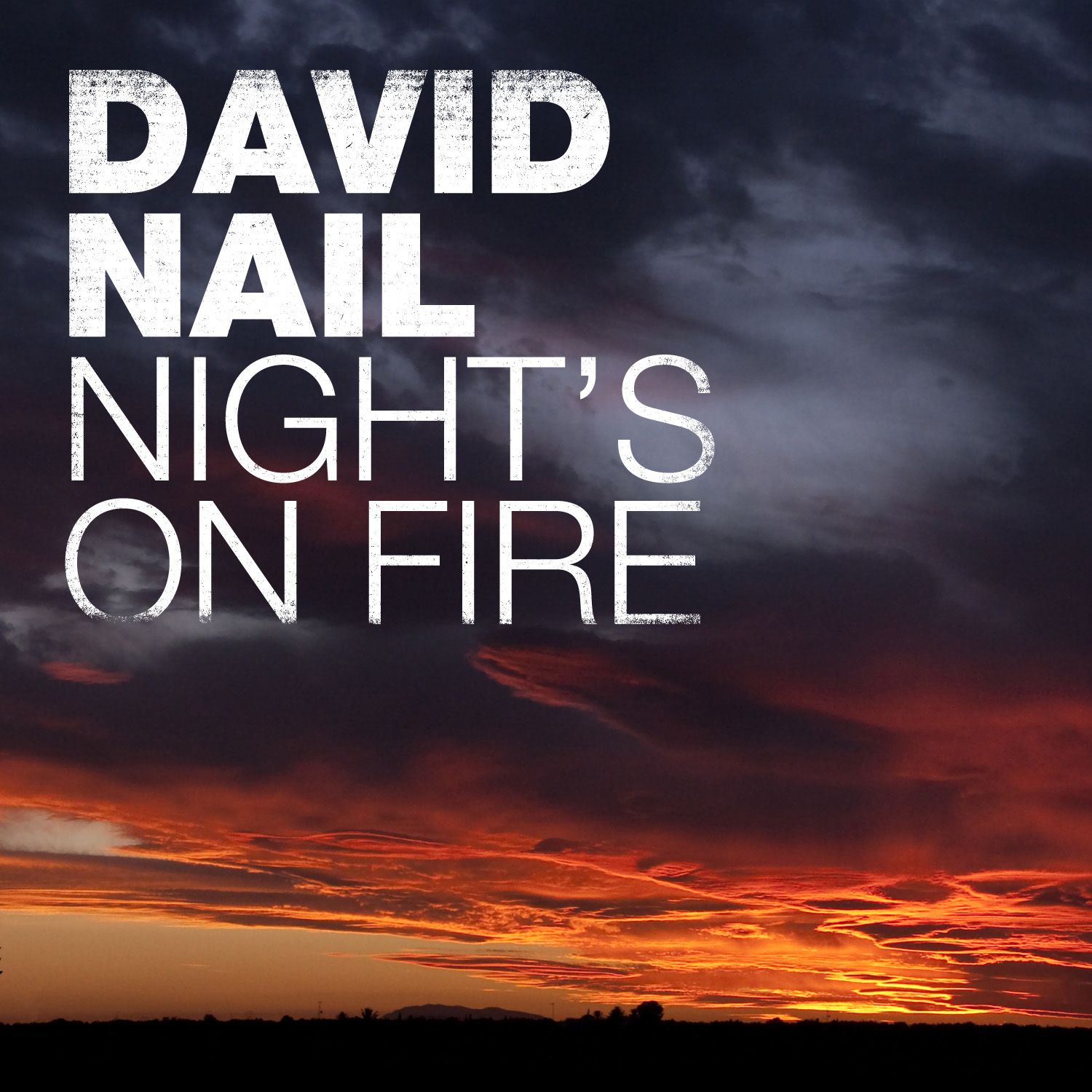 NEW MUSIC FROM DAVID NAIL