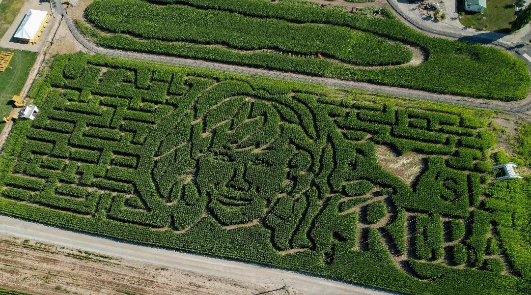 REBA MCENTIRE PARTNERS WITH 40 FARMS NATIONWIDE FOR THEMED CORN MAZES IN CELEBRATION OF FALL BOOK LAUNCH